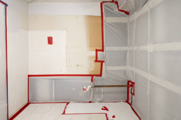 Best Environmental Consulting for Mold Prevention  in Tecumseh, NE