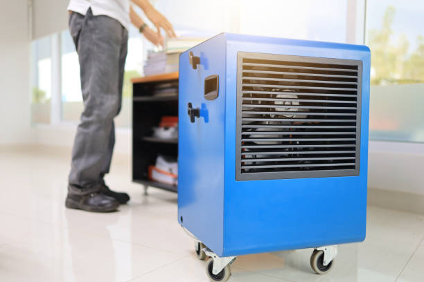 Mold Documentation for Insurance Claims in Tecumseh, NE