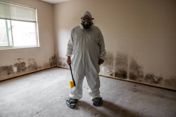 Best Comprehensive Air Testing for Mold Contaminants  in Tecumseh, NE